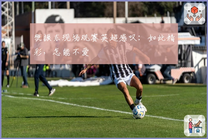 樊振东现场观赛英超感叹：如此精彩，怎能不爱